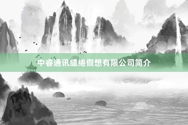 中睿通讯缱绻假想有限公司简介