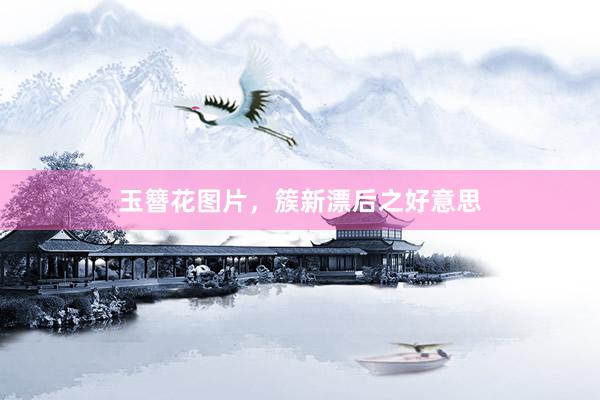 玉簪花图片，簇新漂后之好意思