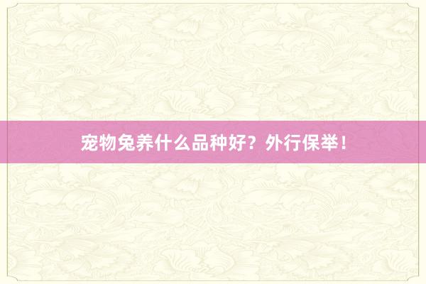 宠物兔养什么品种好？外行保举！
