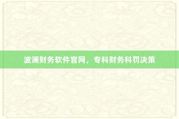 波澜财务软件官网，专科财务科罚决策